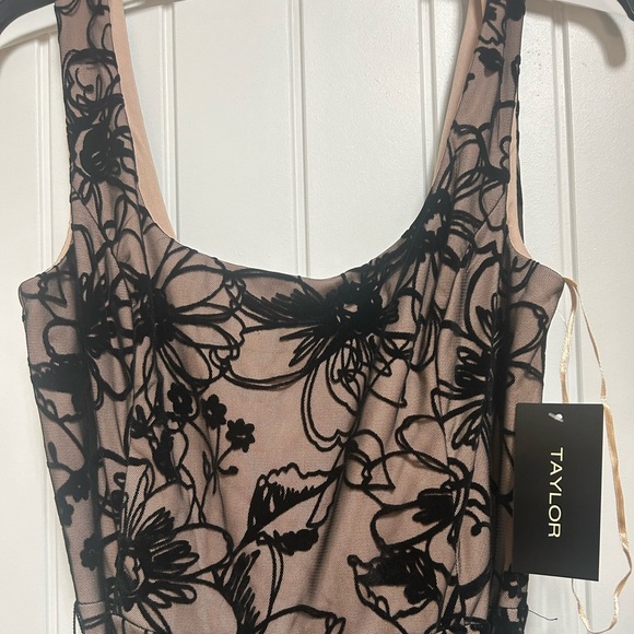 Taylor dress, size 10, black and tan - Picture 3 of 6